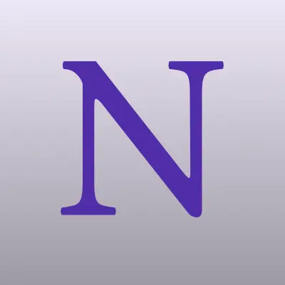 North star, служба доставки продуктов и документов, лого-визитка
